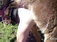 Animal Rape Porn Videos