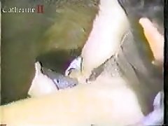 Porn Video Animal And Man