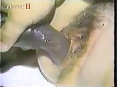 Porn Video Animal And Man