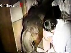 Kissing Animal Porn