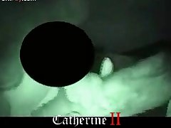 Pregnant Animal Sex Porn