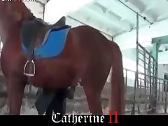 Pregnant Animal Sex Porn
