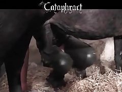 Teen Animal Porn Videos