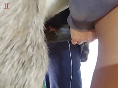 Animal Porn Man Fuck Dog