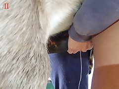 Animal Porn Man Fuck Dog