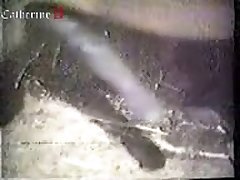 Animal Porn Caught