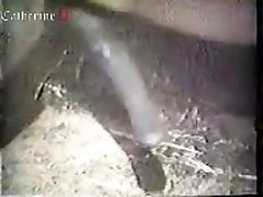 Animal Porn Caught