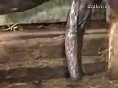 Animal Woman Porn Video