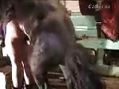 Animal Woman Porn Video