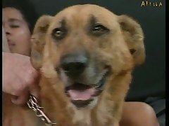 Las Mejores Paginas De Zoofilia