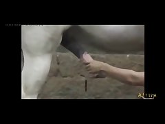 Big Tits Zoofilia