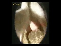 Videos Porno Zoofilia Anal