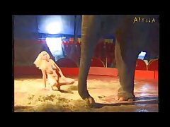 Zoofilia Porno 4k