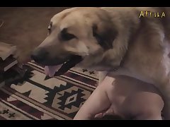 Jovencitas Porno Zoofilia