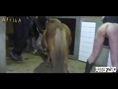 Videos Zoofilia Hombre Perra