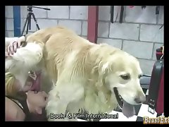 Zoofilia Perra Con Hombre