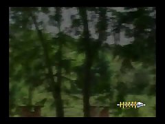 Animal Sex Hd Video Download