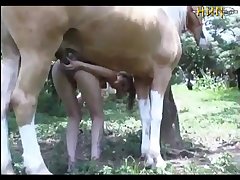 Sex Animal Crossing Porn