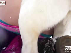 Zoofilia Anal Tube