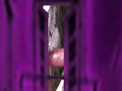 Porno Hub Zoofilia