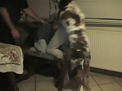 Zoofilia Team
