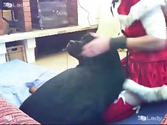 Porno Zoofilia Gratis Videos