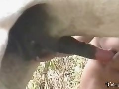 Zoofilia Cachorras