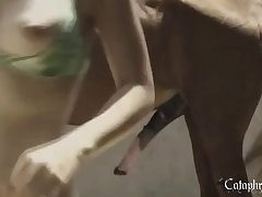 En Espana Es Legal La Zoofilia