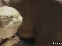 En Espana Es Legal La Zoofilia