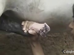 Zoofilia Hentai3d Videos Libres