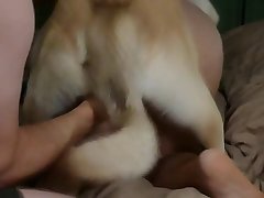 Real Zoofilia Porn