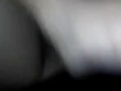 Peliculas Zoofilia Utorrent