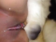 Porno Zoofilia Latino