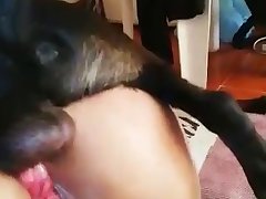 Videos Porno Hombre Zoofilia