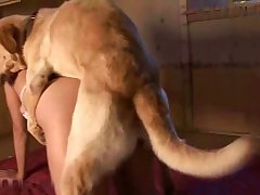 Mujer Con Perros Zoofilia