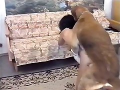 Videos Reciente De Zoofilia