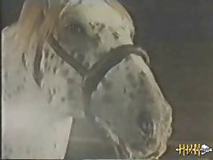 Animal X Animal Sex