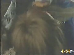 Animal X Animal Sex