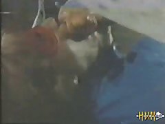 Animal X Animal Sex