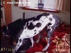 Porno Teatro Zoofilia
