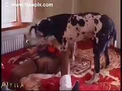 Porno Teatro Zoofilia