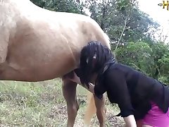 Porno Novinha Animal