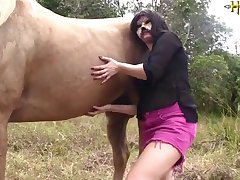 Porno Novinha Animal
