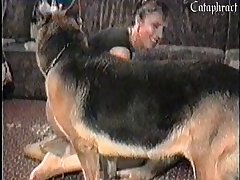 Ver Porno Com Animal