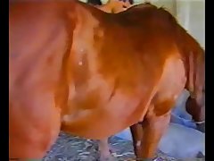 Porno Desenho 3d Animal