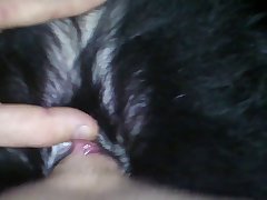 Video Porno Com Mulher Com Animal