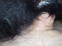Video Porno Com Mulher Com Animal