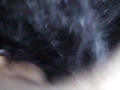 Video Porno Com Mulher Com Animal