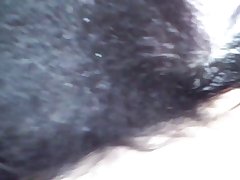 Video Porno Com Mulher Com Animal