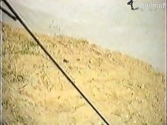Animal Porno Dog